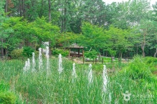 직동 근린공원 (2026) - 경기도 의정부시 가볼만한곳 - 관광지랭킹