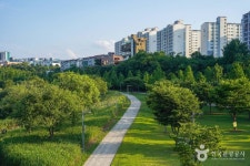 공항교 하부 체육시설 | 공항교강변공원 관광 정보와 주변 관광 명소 및 근처 맛집 여행 정보