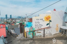 대전대학교박물관 - 대전광역시 동구 - 가볼만한곳 - 관광지랭킹