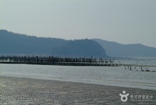 신두리해수욕장 - 캠프위크