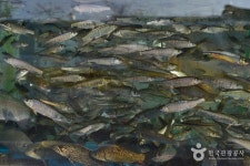 생초식당 (2026) - 경상남도 산청군 가볼만한곳 - 관광지랭킹