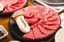 휘닉스에메랄드 - 강원특별자치도 평창군 - 가볼만한곳 - 관광지랭킹