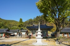 응석사(진주) (2026) - 경상남도 진주시 가볼만한곳 - 관광지랭킹