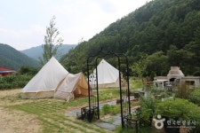 안개자니펜션 숙박 정보와 주변 관광 명소 및 근처 맛집 여행 정보