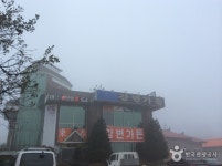 무주반딧불축제 - 전북특별자치도 무주군 - 가볼만한곳 - 관광지랭킹