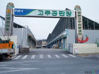 안동시농수산물도매시장(안동시농산물도매시장) - 경상북도 안동시 - 가볼만한곳 - 관광지랭킹