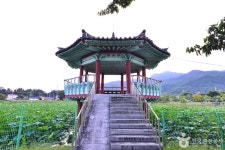 죽동제 관광 정보와 주변 관광 명소 및 근처 맛집 여행 정보