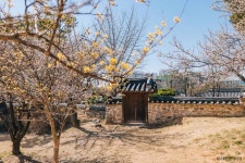 대전 회덕 동춘당 관광 정보와 주변 관광 명소 및 근처 맛집 여행 정보