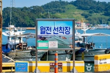 월전선착장 관광 정보와 주변 관광 명소 및 근처 맛집 여행 정보