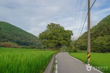 연화산도립공원 - 경상남도 고성군 - 가볼만한곳 - 관광지랭킹