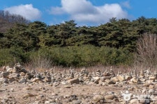영월 청령포 관광 정보와 주변 관광 명소 및 근처 맛집 여행 정보