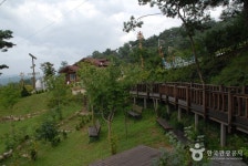 Bongsusan Recreational Forest (봉수산 자연휴양림) - Korea Tour Ranking