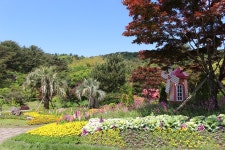 한라산 백록담 - 제주특별자치도 서귀포시 - 가볼만한곳 - 관광지랭킹