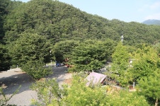 새막골캠프장 (2026) - 강원특별자치도 영월군 가볼만한곳 - 관광지랭킹