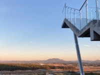 Foto de resultados de búsqueda de Naver 2