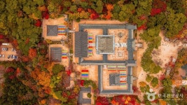 경주 불국사 [유네스코 세계유산] 관광 정보와 주변 관광 명소 및 근처 맛집 여행 정보