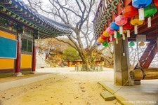 고려산 (2026) - 인천광역시 강화군 가볼만한곳 - 관광지랭킹