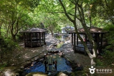 다리안 캠핑장 (2026) - 충청북도 단양군 가볼만한곳 - 관광지랭킹