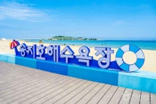 [해파랑길] 47코스 (2026) - 강원특별자치도 고성군 가볼만한곳 - 관광지랭킹