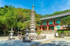 쌍계사(하동) 관광 정보와 주변 관광 명소 및 근처 맛집 여행 정보