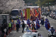 진해군항제 (2026) - 경상남도 창원시 진해구 가볼만한곳 - 관광지랭킹