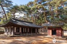 영월 청령포 관광 정보와 주변 관광 명소 및 근처 맛집 여행 정보