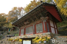 광시시장 (3, 8일) - 충청남도 예산군 - 가볼만한곳 - 관광지랭킹