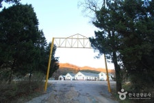 Ttakttaguri Youth Center (딱따구리청소년수련원) - 관광지랭킹