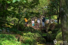 용인자연휴양림 (2026) - 경기도 용인시 처인구 가볼만한곳 - 관광지랭킹