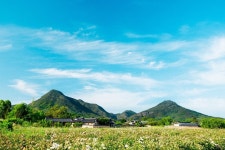 금성산·비봉산(의성) (2026) - 경상북도 의성군 가볼만한곳 - 관광지랭킹