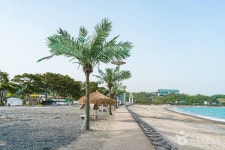 관성솔밭해변 관광 정보와 주변 관광 명소 및 근처 맛집 여행 정보