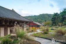 대곡사(의성) (2026) - 경상북도 의성군 가볼만한곳 - 관광지랭킹