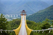 봉명산 출렁다리 관광 정보와 주변 관광 명소 및 근처 맛집 여행 정보