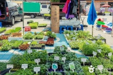 주천시장 쇼핑 정보와 주변 관광 명소 및 근처 맛집 여행 정보
