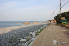 주전몽돌해변 - 캠프위크