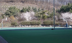 옛집 - 경기도 안양시 만안구 - 가볼만한곳 - 관광지랭킹