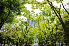 보라매공원 - 대전광역시 서구 - 가볼만한곳 - 관광지랭킹