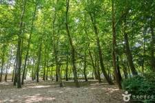 송산유원지 (2026) - 전남광주통합특별시 광산구 가볼만한곳 - 관광지랭킹