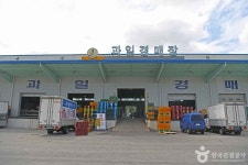 강릉 농산물도매시장 - 강원특별자치도 강릉시 - 가볼만한곳 - 관광지랭킹