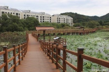 정양늪생태공원 관광 정보와 주변 관광 명소 및 근처 맛집 여행 정보