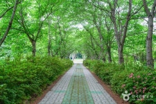 경상북도 산림환경연구원 관광 정보와 주변 관광 명소 및 근처 맛집 여행 정보