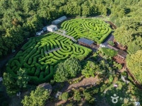 김녕미로공원 (2026) - 제주특별자치도 제주시 가볼만한곳 - 관광지랭킹