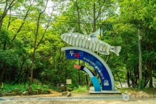 รูปภาพผลการค้นหา Naver 1