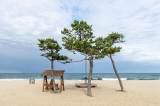 낙산해수욕장 관광 정보와 주변 관광 명소 및 근처 맛집 여행 정보