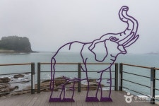 남일대 코끼리 바위 관광 정보와 주변 관광 명소 및 근처 맛집 여행 정보