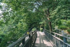 오동숲속도서관 문화 정보와 주변 관광 명소 및 근처 맛집 여행 정보
