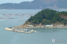 망끝전망대 (2026) - 전라남도 완도군 - 가볼만한곳 - 관광지랭킹