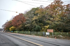 남해 미조리 상록수림 - 경상남도 남해군 - 가볼만한곳 - 관광지랭킹
