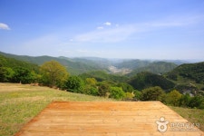 산너미목장 - 강원특별자치도 평창군 - 가볼만한곳 - 관광지랭킹