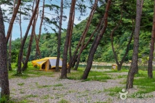 오천솔밭유원지 - 경상북도 영덕군 - 가볼만한곳 - 관광지랭킹